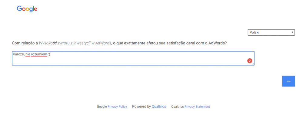 5a2925ba9a3cc_ankietaadwords.thumb.png.c3435009da4cfc868e55faa1b6f432a9.png