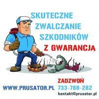 Prusator.pl Dezynfekcja