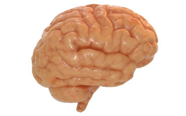 image.thumb.png.cb010cb025f46134d5cd0d18e7a160fb.png